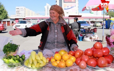 markov_pro_alt_dachnikov